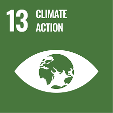 SDG 4